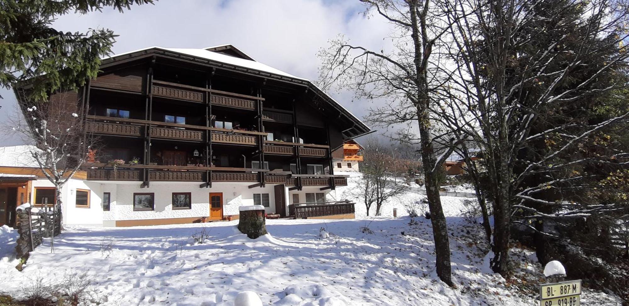 Fewo Brunnach By Isa Badkleinkirchheim Bad Kleinkirchheim Exterior photo